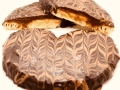Palmera rellena de dulce de leche
